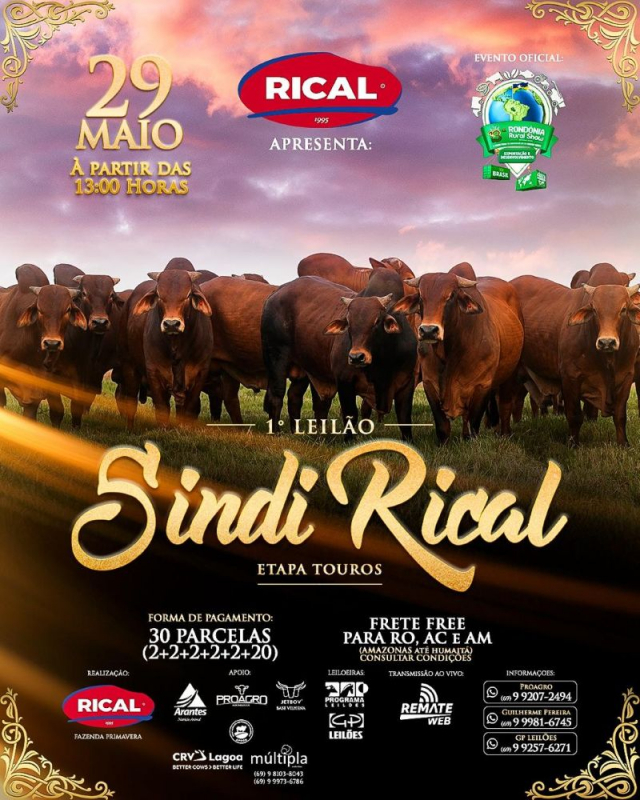 1º Leilão Sindi Rical - Etapa Touros