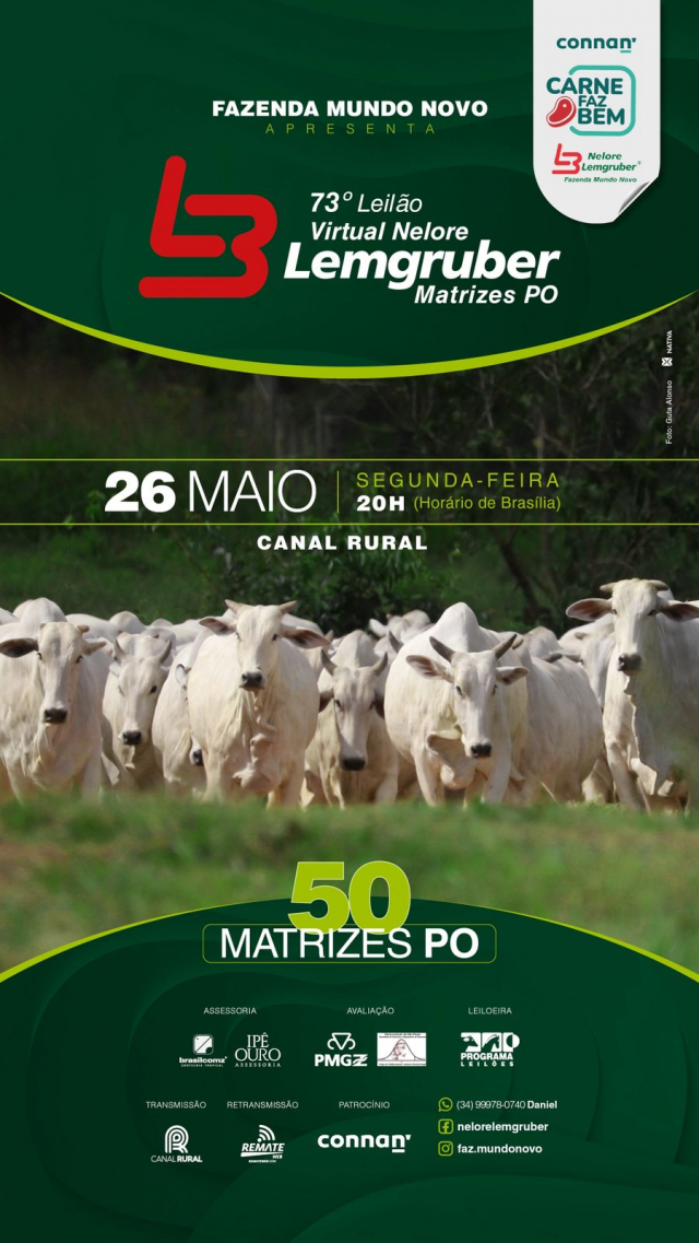 73º Leilão Virtual  Nelore Lemgruber - Matrizes PO