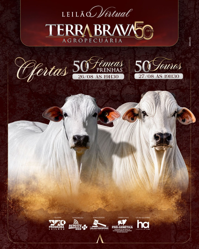 Leilão Virtual Touros Terra Brava