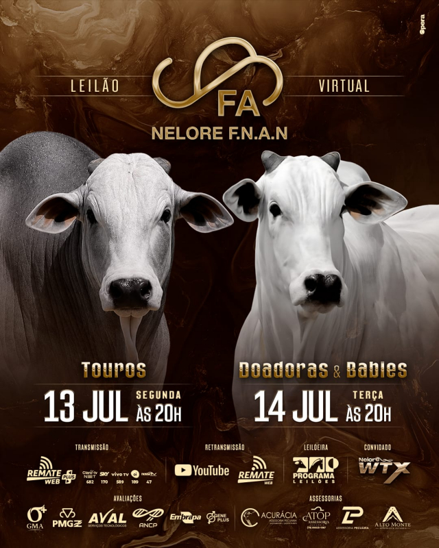 Leilão Virtual Nelore F.N.A.N - Touros