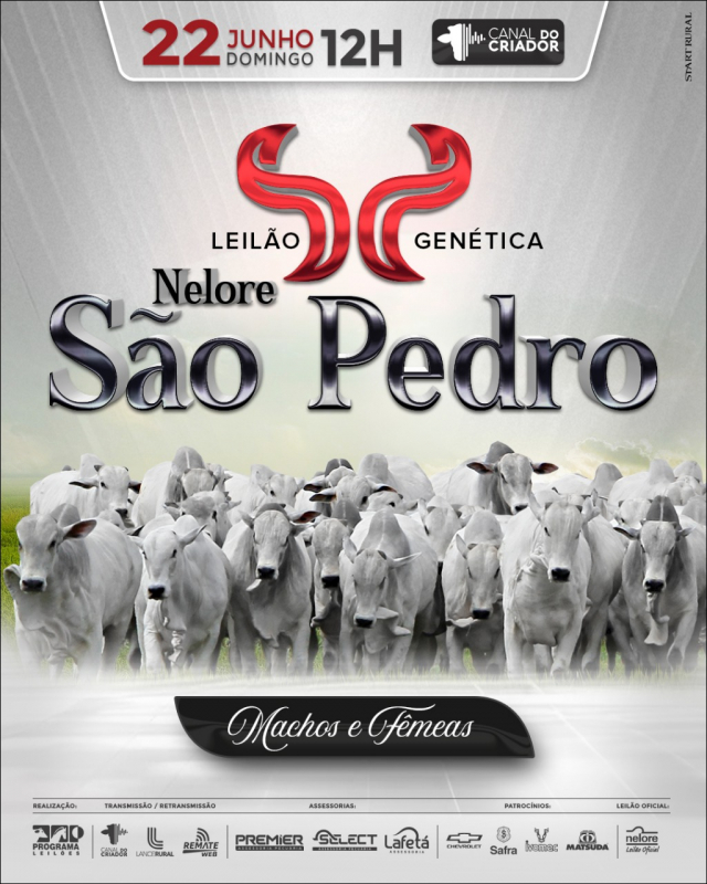 Leilão Virtual Genética Nelore São Pedro - Machos e Fêmeas