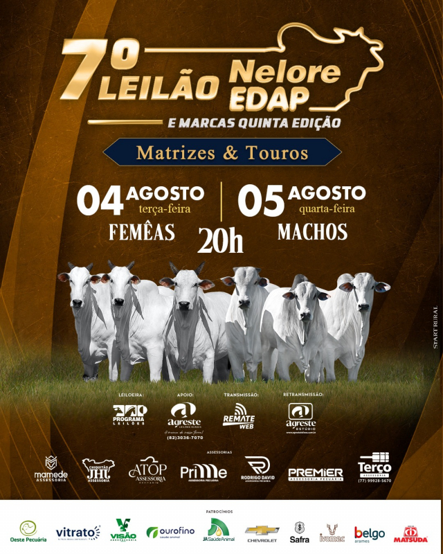 7º Leilão Nelore EDAP - Matrizes