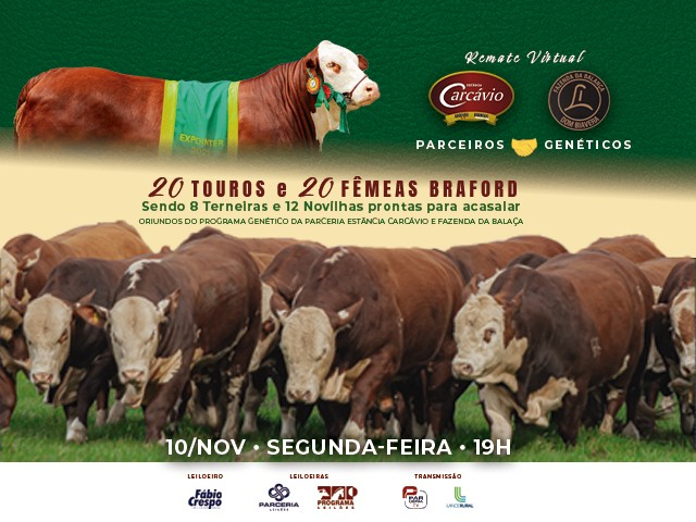 Remate Virtual Parceiros Genéticos - Estância Carcávio e Fazenda da Balança