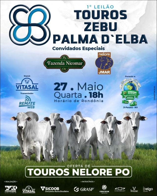 1º Leilão Touros Zebu Palma D'Elba