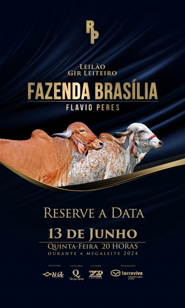 Leilão Gir Leiteiro Fazenda Brasília