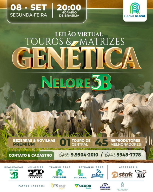 Leilão Virtual Touros e Matrizes - Genética Nelore 3B