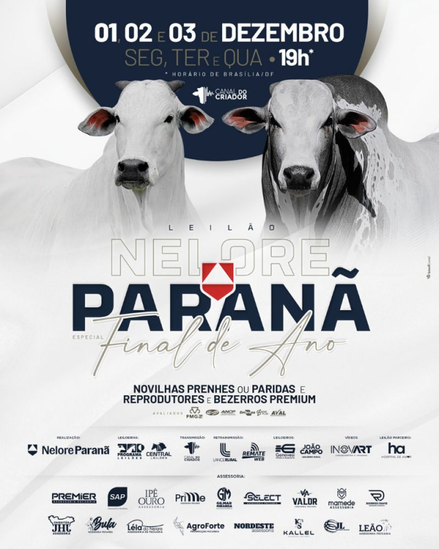 Leilão Virtual Nelore Paranã - Especial Final de Ano