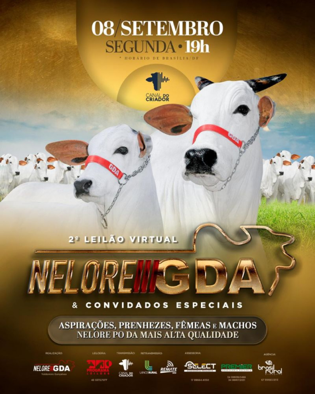 2º Leilão Virtual Nelore GDA & Convidados Especiais