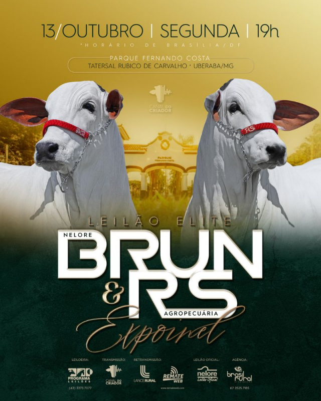 Leilão Nelore Brun & RS Agropecuária - Expoinel