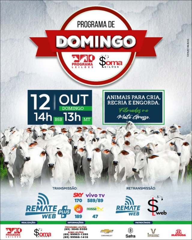 129º Programa de Domingo - Programa e Soma Leilões