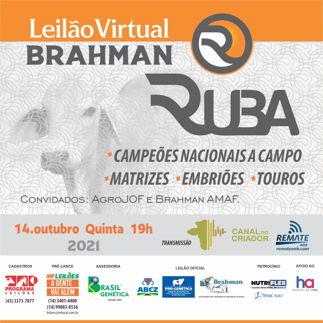 Leilão Virtual Brahman Ruba
