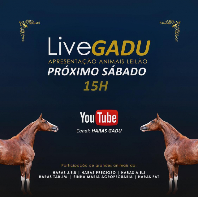 Live Gadu
