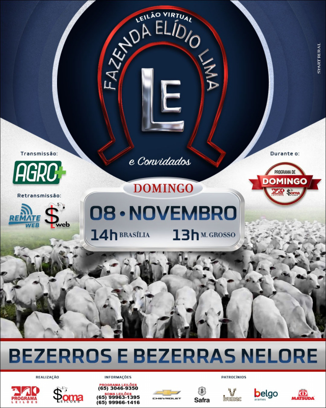 Leilão Virtual Fazenda Elídio Lima & Convidados