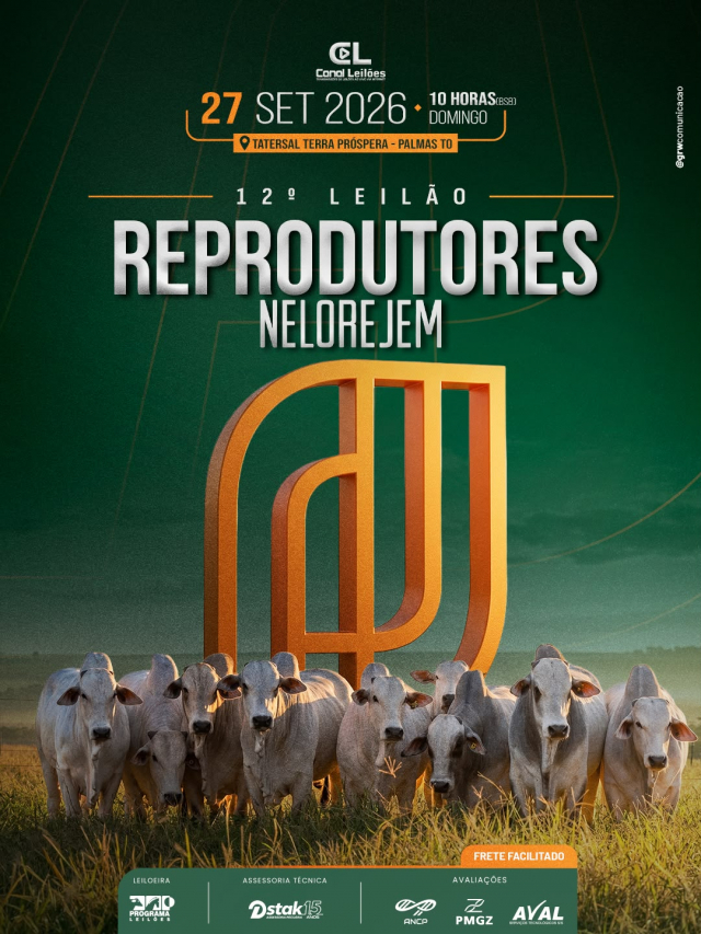 Leilão Touros JEM