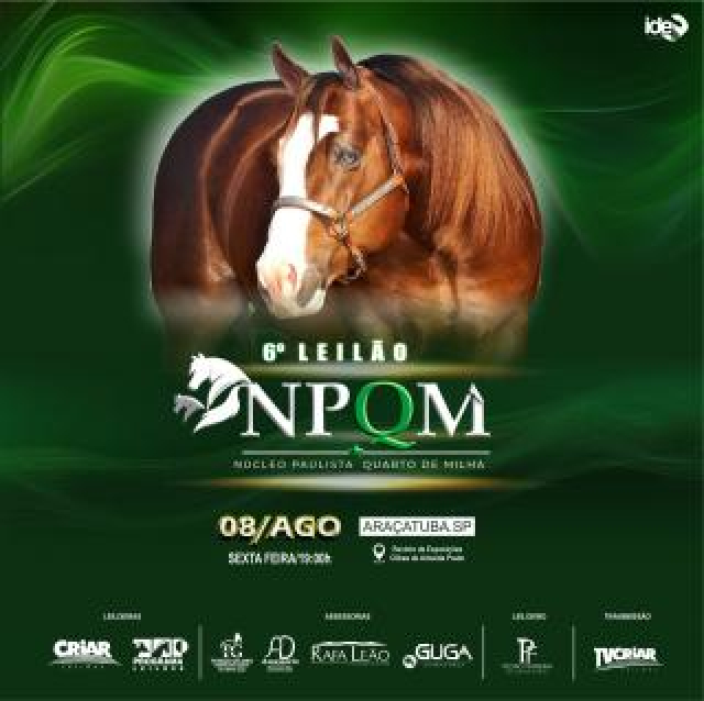 6º Leilão Núcleo Paulista Quarto de Milha