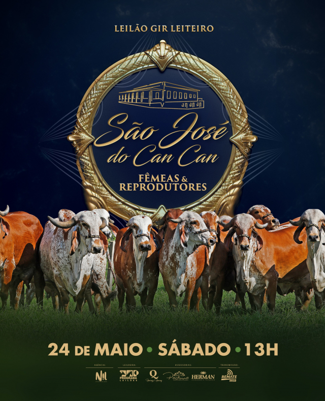 Leilão Virtual Gir Leiteiro São José do Can Can - Fêmeas e Reprodutores