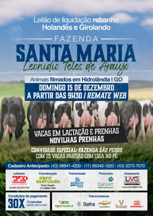 Leilão Virtual Liquidação Fazenda Santa Maria