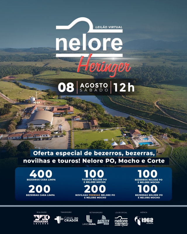 Leilão Virtual Nelore Heringer