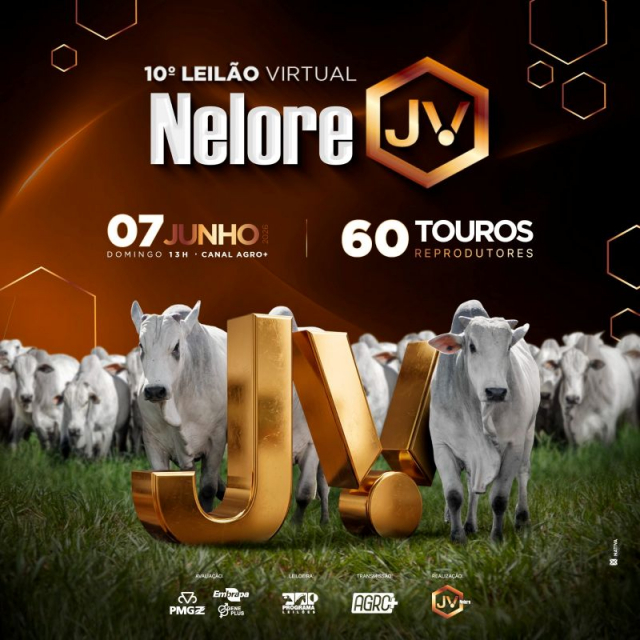 10º Leilão Virtual Nelore JV