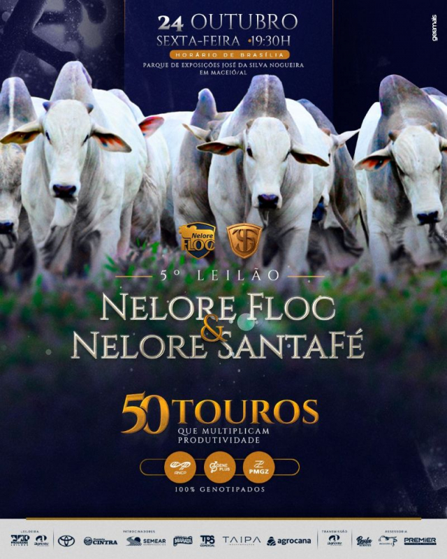 5º Touros Nelore Floc e Santa Fé