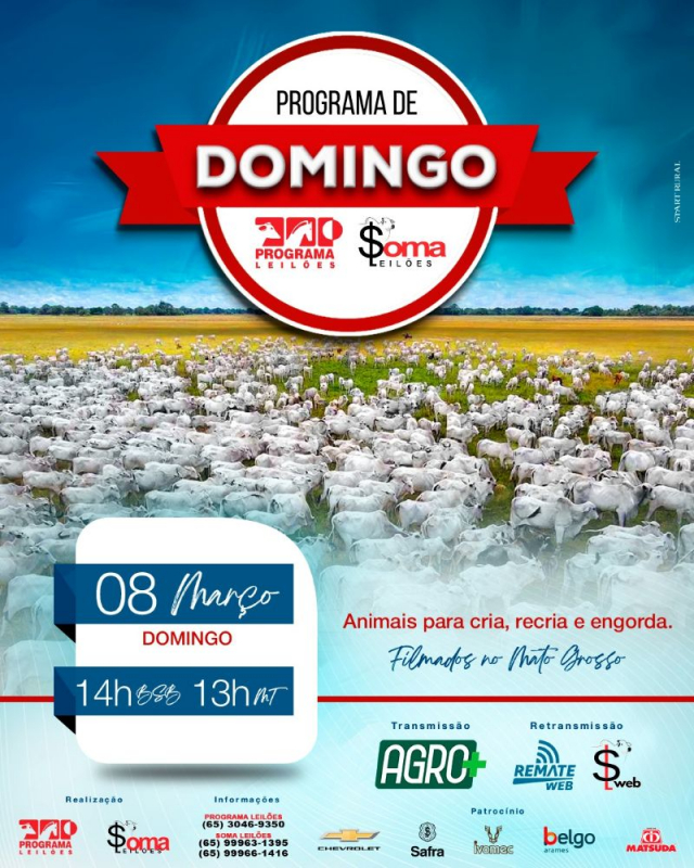 144º Programa de Domingo - Programa e Soma Leilões