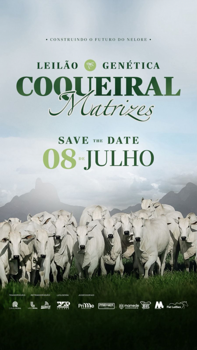 Leilão Genética Coqueiral Matrizes