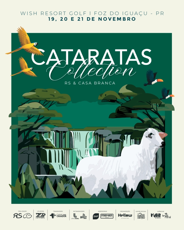 Leilão Cataratas Collection RS & Casa Branca;