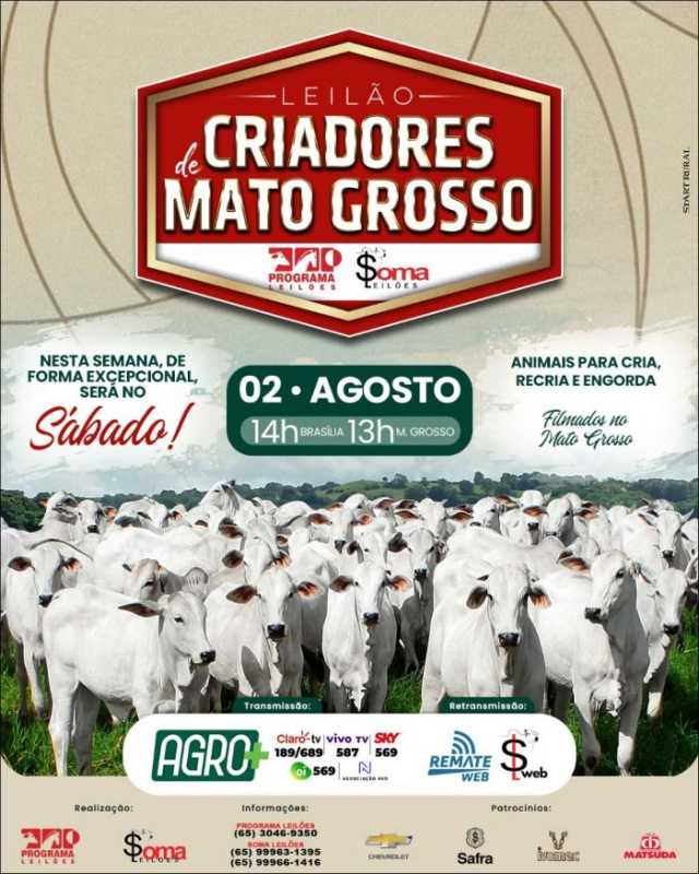 Leilão Virtual de Criadores Mato Grosso - Gado de Corte