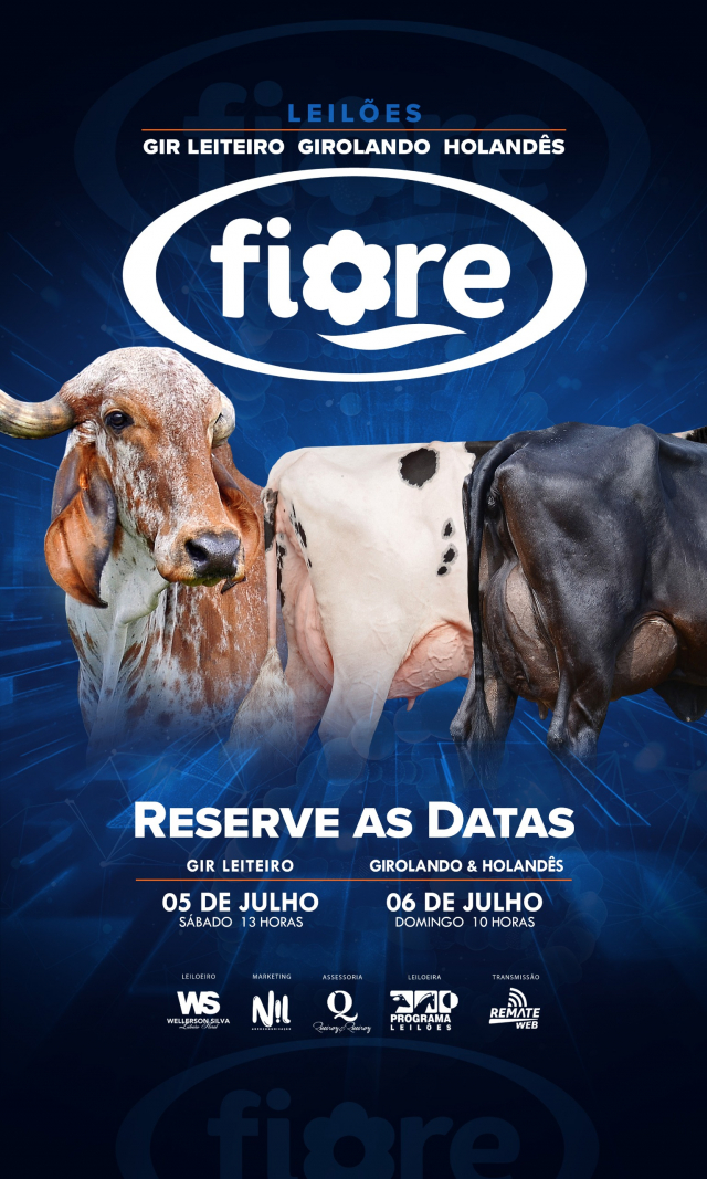 Leilão Virtual Gir Leiteiro Fiore