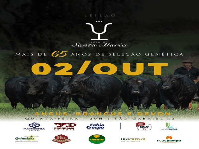 Leilão Cabanha Santa Maria