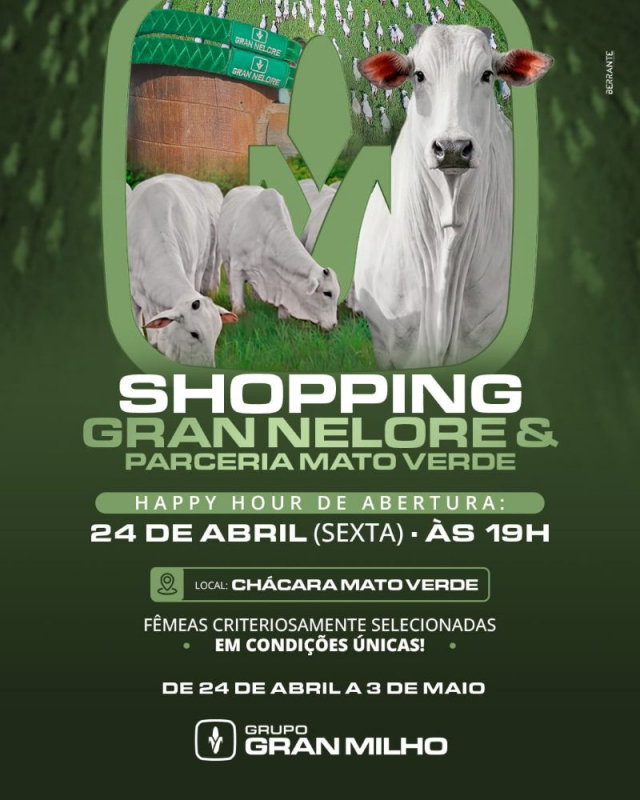 Shopping Gran Nelore e  Pareceria Mato Verde