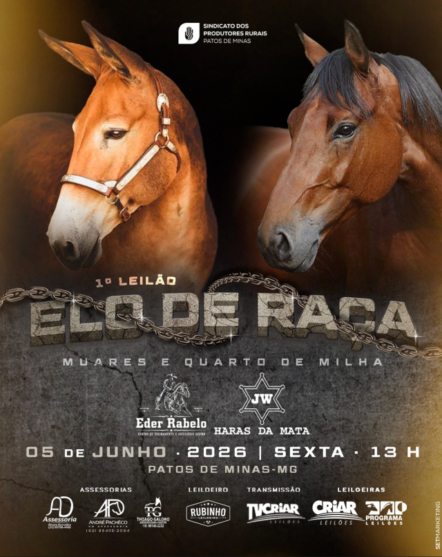 1º Leilão Elo de Raça - Muares e Quarto de Milha