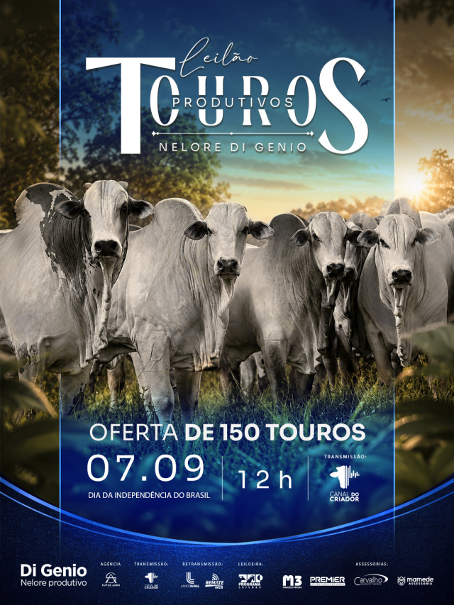 Leilão Touros Produtivos Nelore Di Genio