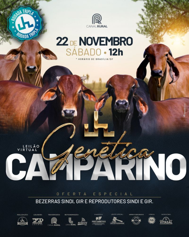 Leilão Virtual Genética Camparino - Bezerras e Reprodutores