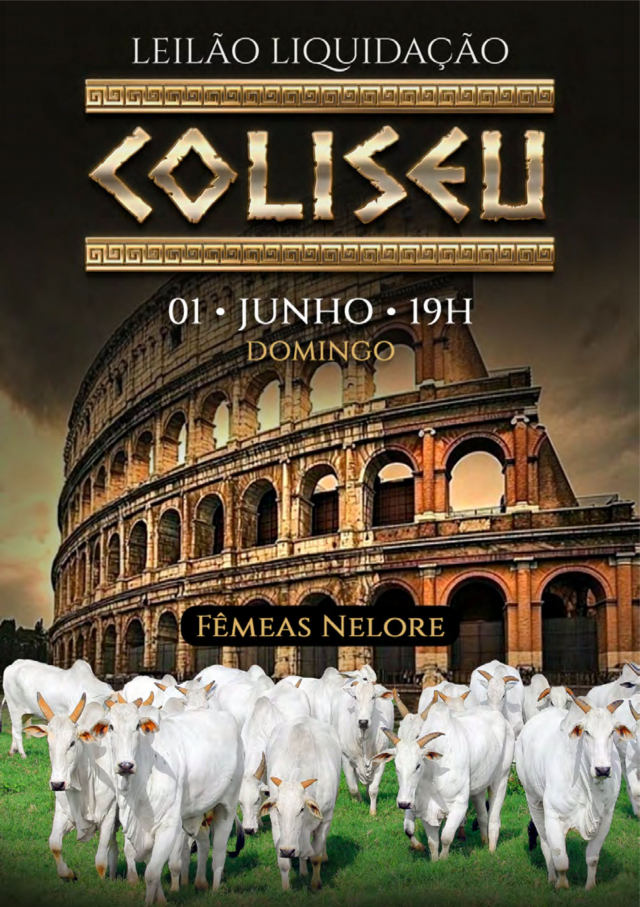 Leilão Liquidação Coliseu