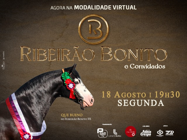 Leilão Virtual Ribeirão Bonito e Convidados