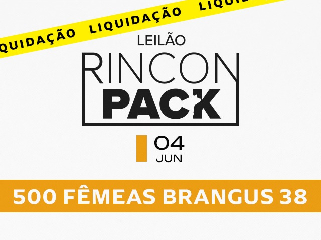 Leilão Rincon Pack Brangus 38