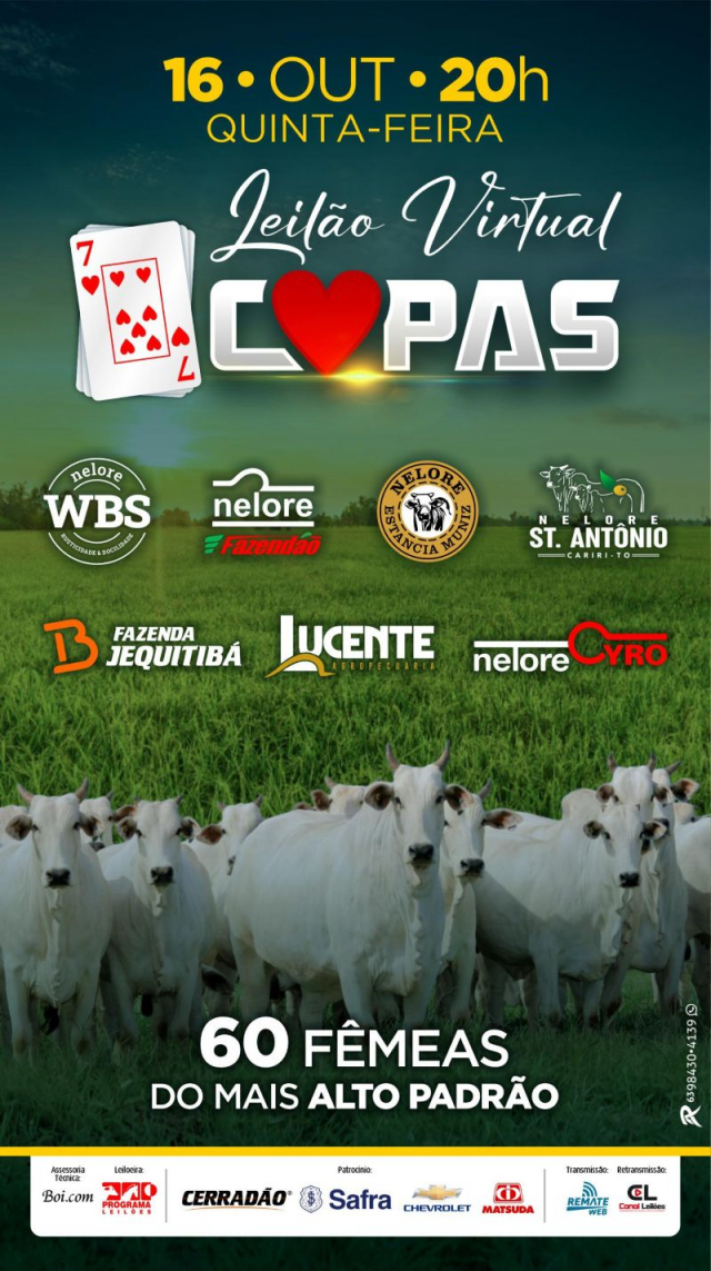 Leilão Virtual 7 Copas