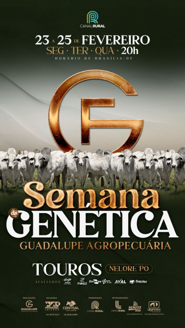 Leilão Virtual Semana da Genética Guadalupe Agropecuária - Touros