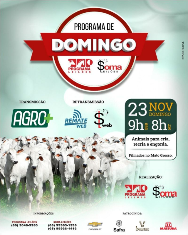 135º Programa de Domingo - Programa e Soma Leilões