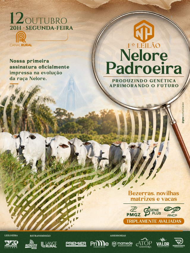 1º Leilão Nelore Padroeira