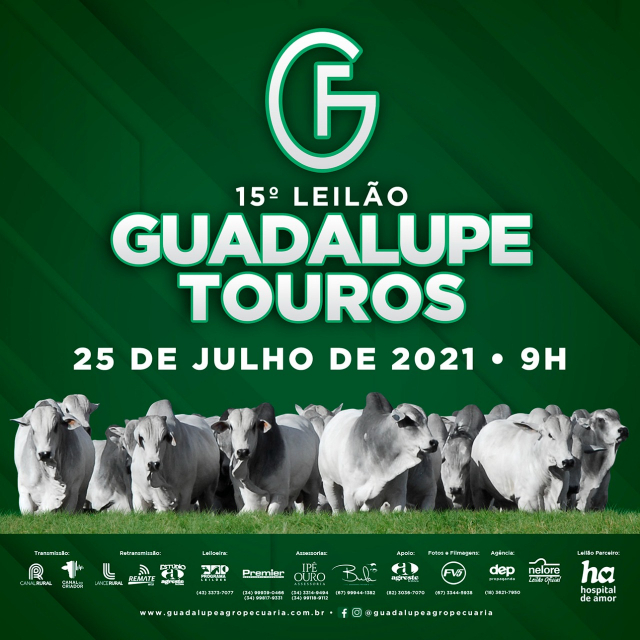 15° Leilão Guadalupe - Etapa Touros