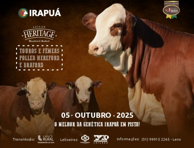 Leilão Heritage - Hereford e Braford
