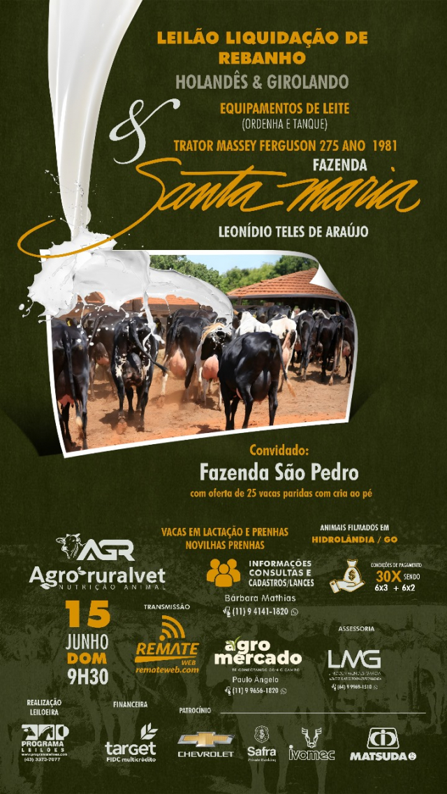 Leilão Liquidação de Rebanho Fazenda Santa Maria - Holandês e Girolando