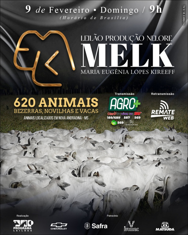 Leilão Virtual Produção Nelore Melk