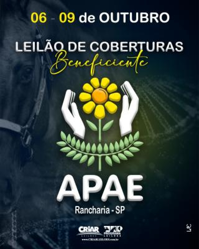 Leilão Virtual de Coberturas - Beneficente APAE