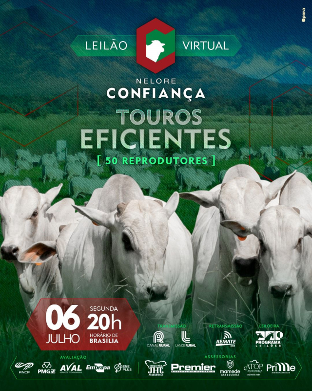 Leilão Virtual Nelore Confiança - Touros Eficientes
