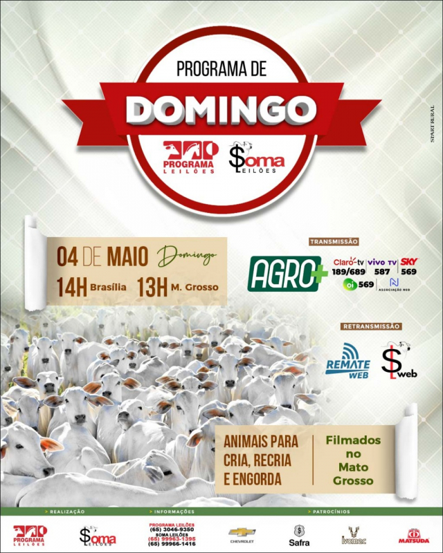 113º Programa de Domingo - Programa e Soma Leilões