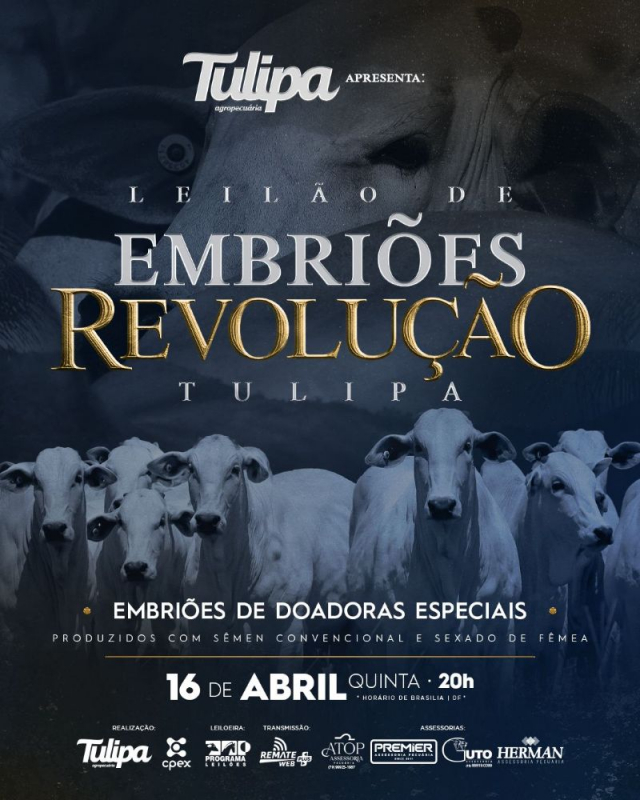 Leilão Virtual de Embriões Revolução Tulipa