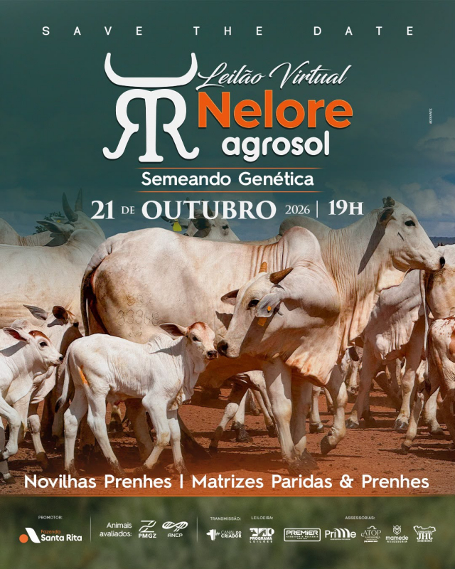 1º Leilão Fêmeas Especiais Nelore Agrosol